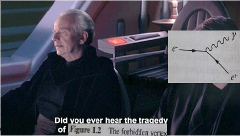 The Forbidden Vertex: A Physics Tragedy