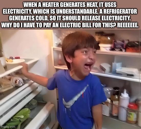The Thermodynamic Rebellion