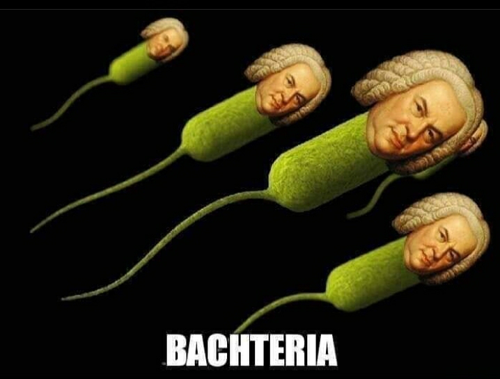 Bachteria: When Classical Music Goes Microscopic