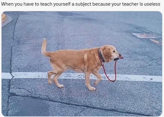 The Self-Taught Scholar