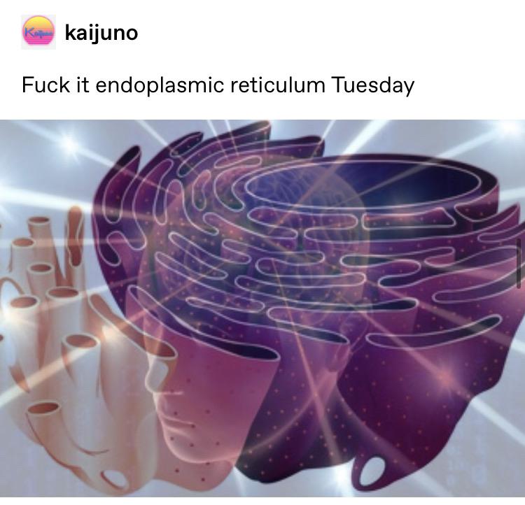 Endoplasmic Reticulum's Cosmic Breakdown
