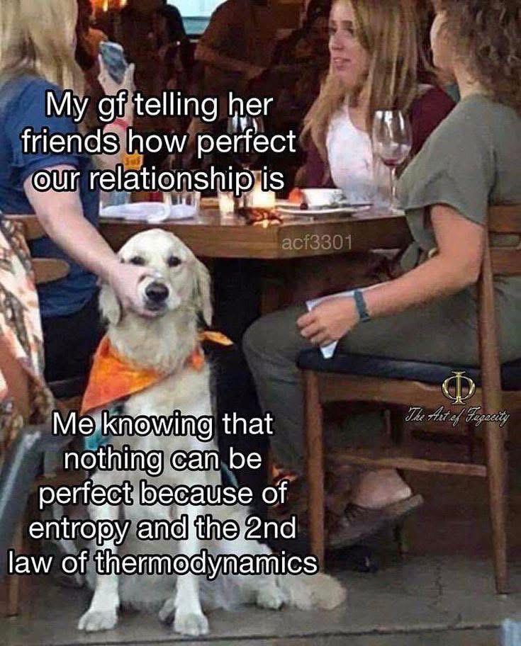 I'm Going To Stop You Right There