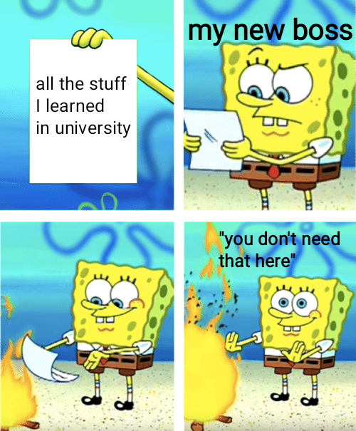 When Your Degree Meets Workplace Reality