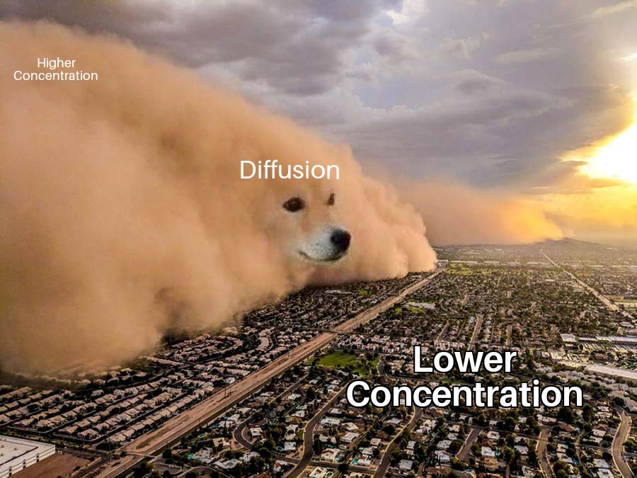 Fick's Law Of Doge-fusion