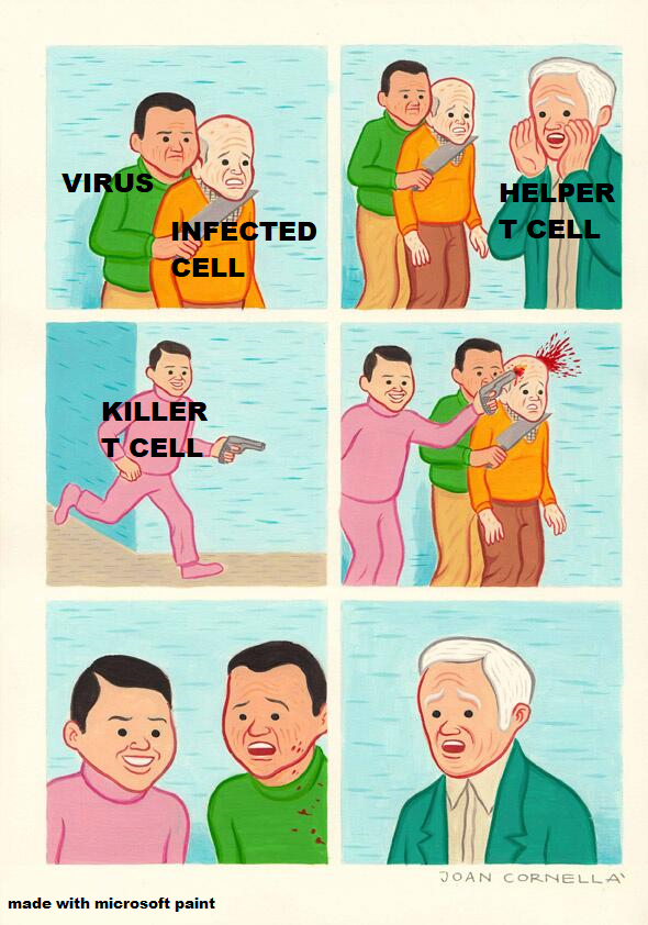 Immune System: The Cellular Hit Squad