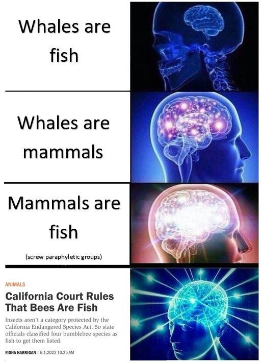 When Law Meets Taxonomy: California's Fish Identity Crisis