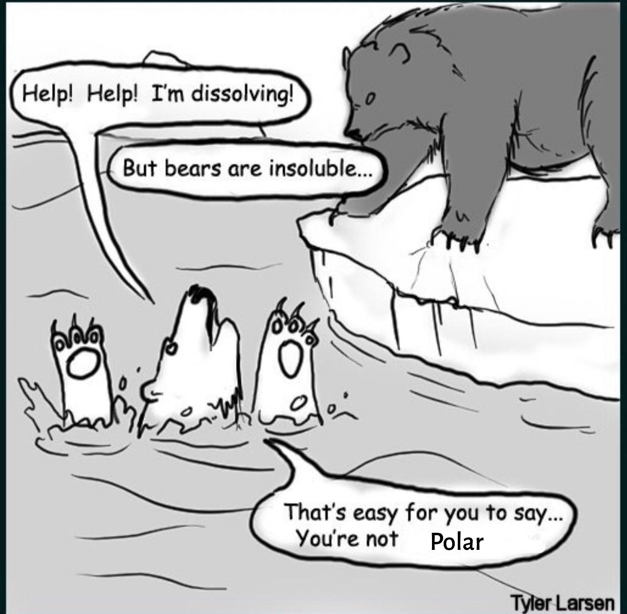 Polar Bears And The Solubility Crisis