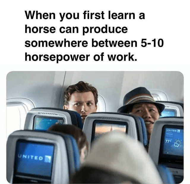 Mind-Blown By Horse Mathematics