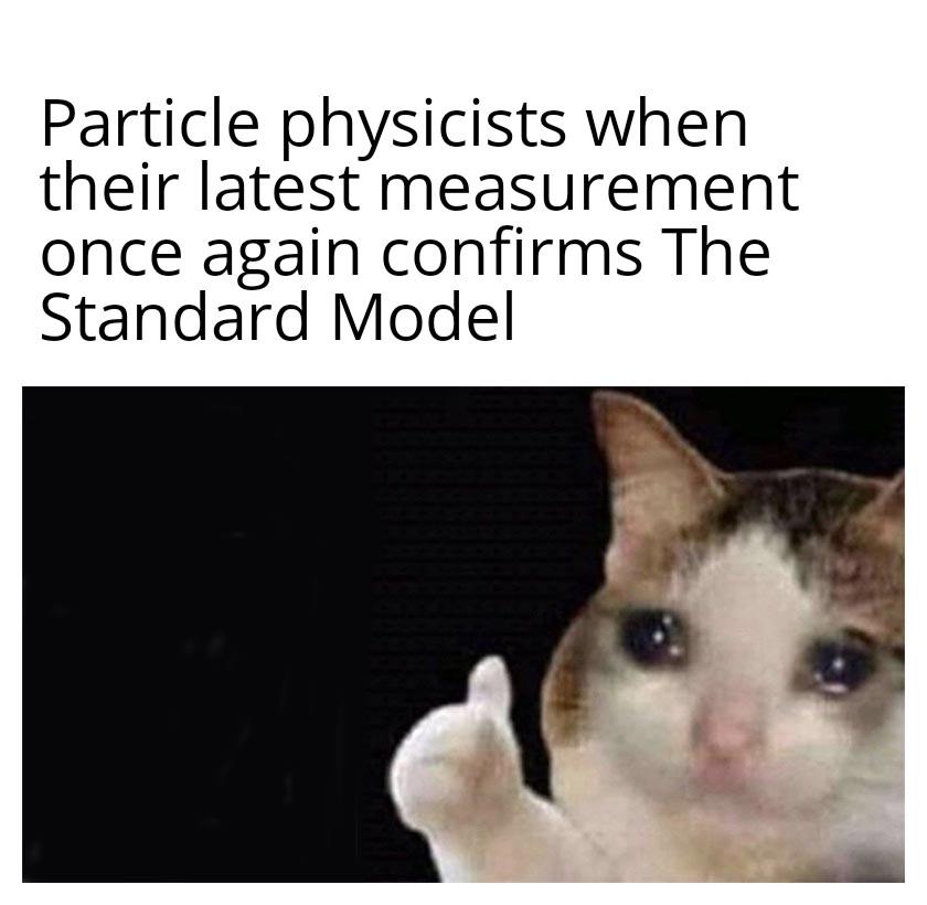 Does This Mean We Can Build Another Particle Collider Or Not?