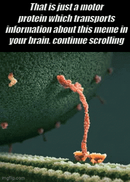 In Every Second, Their Duties Is The One Thing