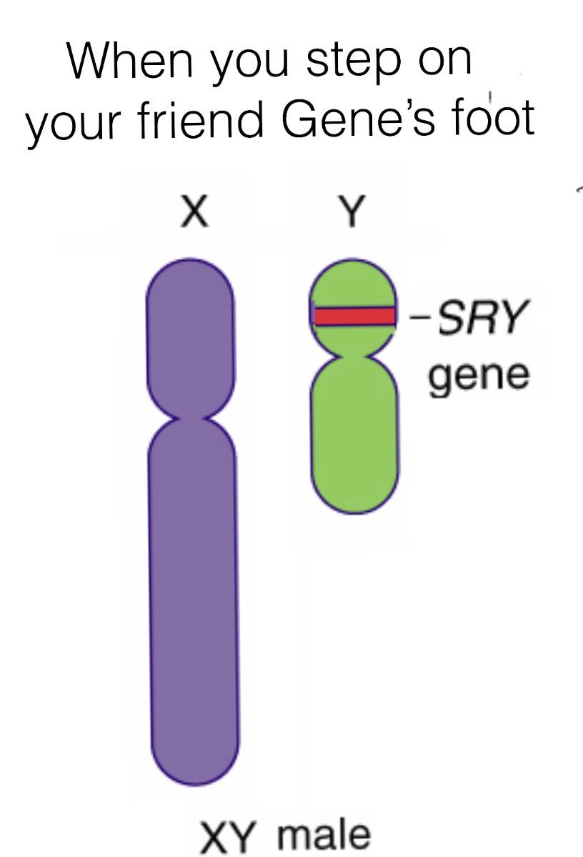 The Genetic Apology