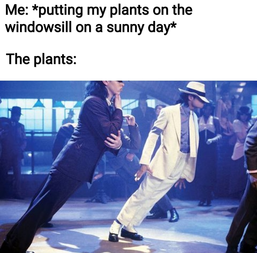 Phototropism Be Like