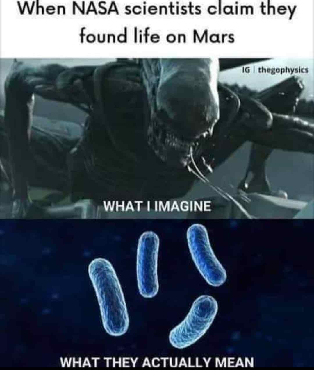 Martian Life: Expectations vs. Reality