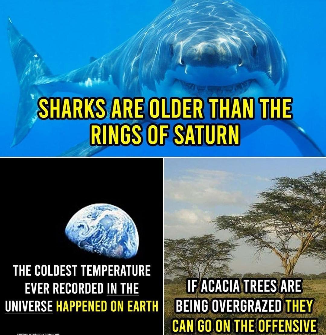 The Triple Threat Of Half-Baked Science Facts