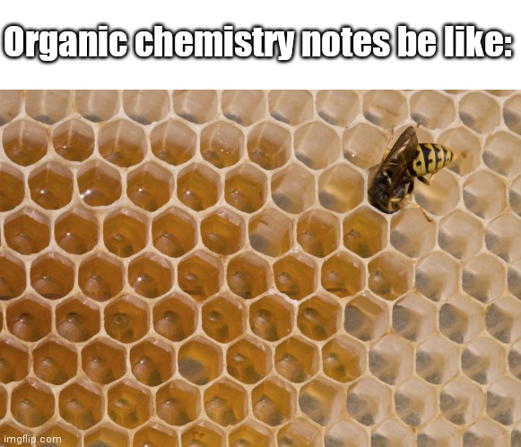 Hexagon Hell: Organic Chemistry's Sweet Torture