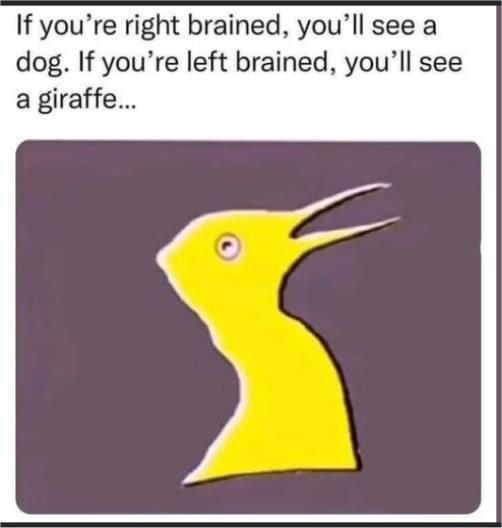 Right Brain, Left Brain, No Brain
