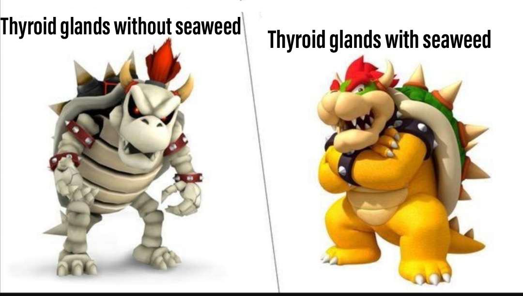 The Iodine Power-Up: Thyroid Edition