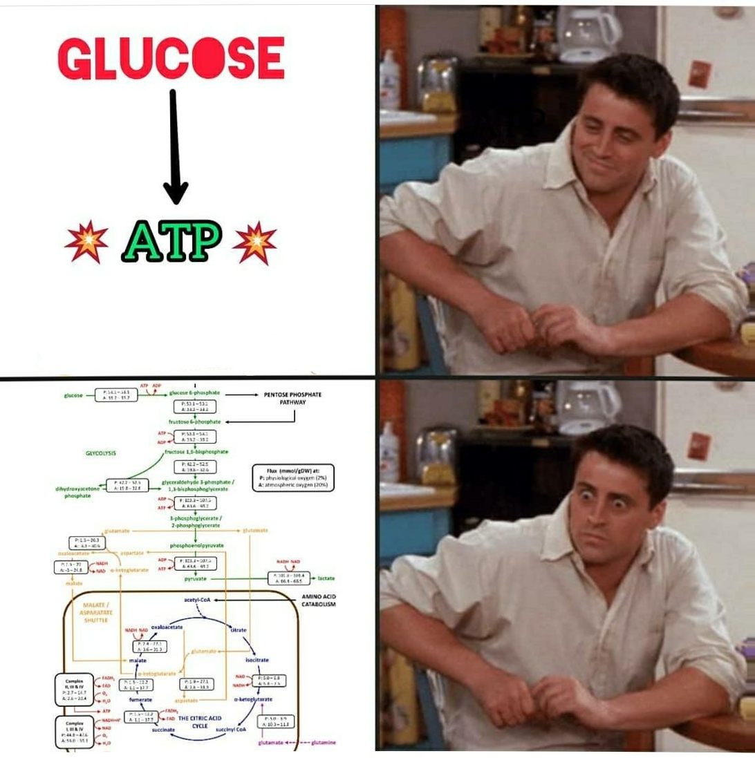 The Glucose-ATP Bamboozle