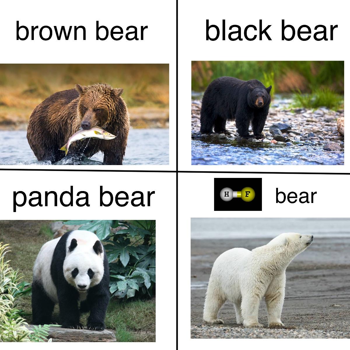 The Unbearable Chemistry Of Puns