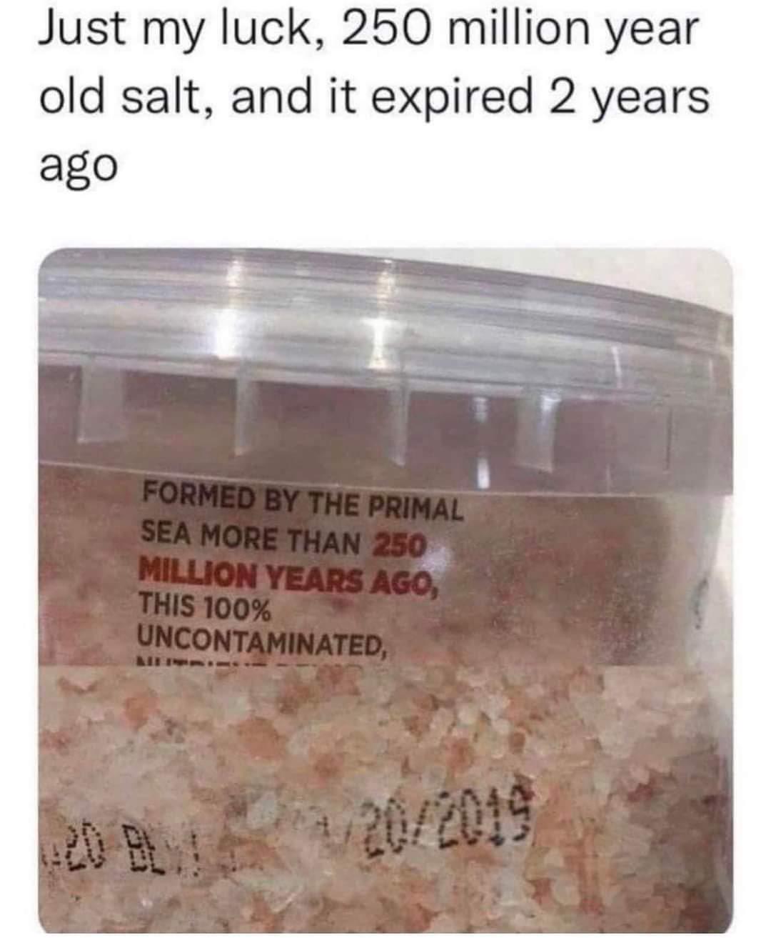 Just Missed It By 250 Million Years