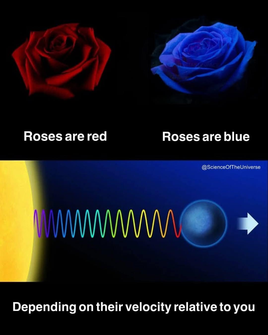 Roses Are Relative