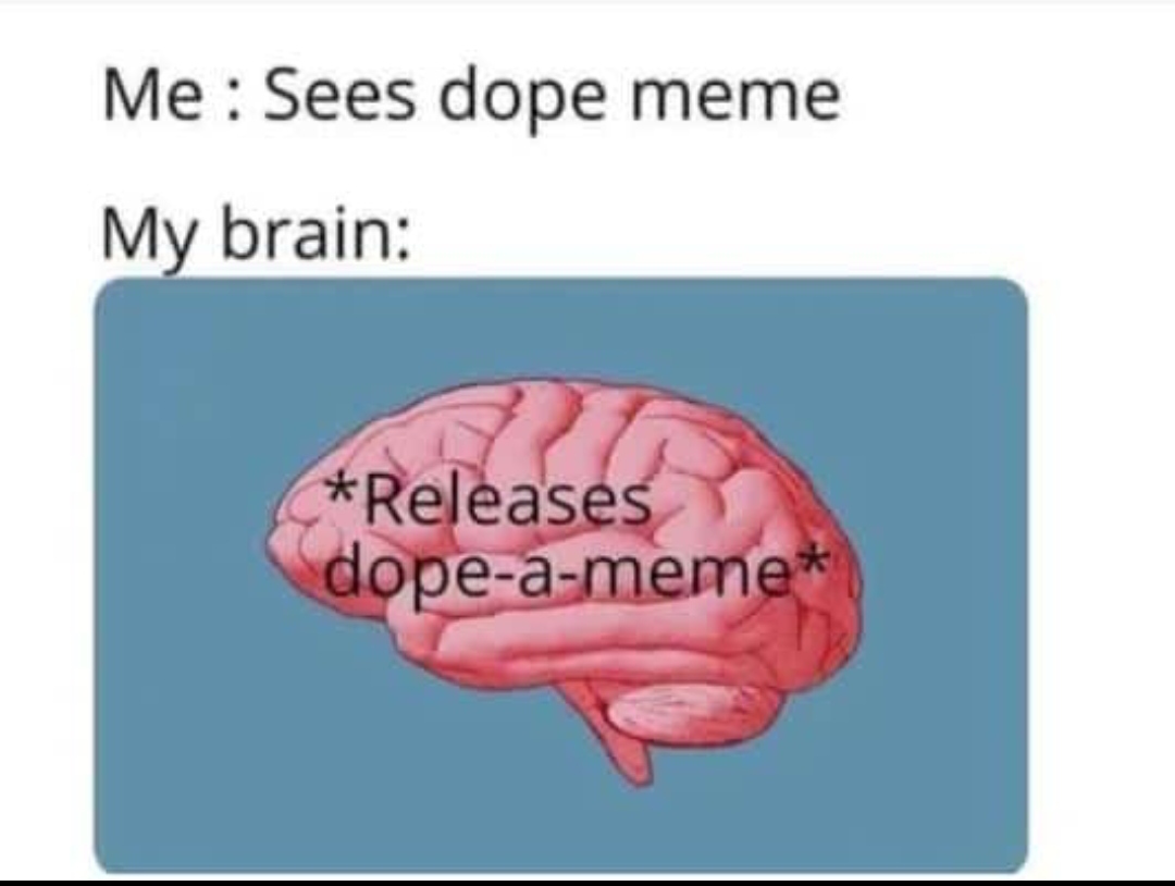 Dopamine Delivery System
