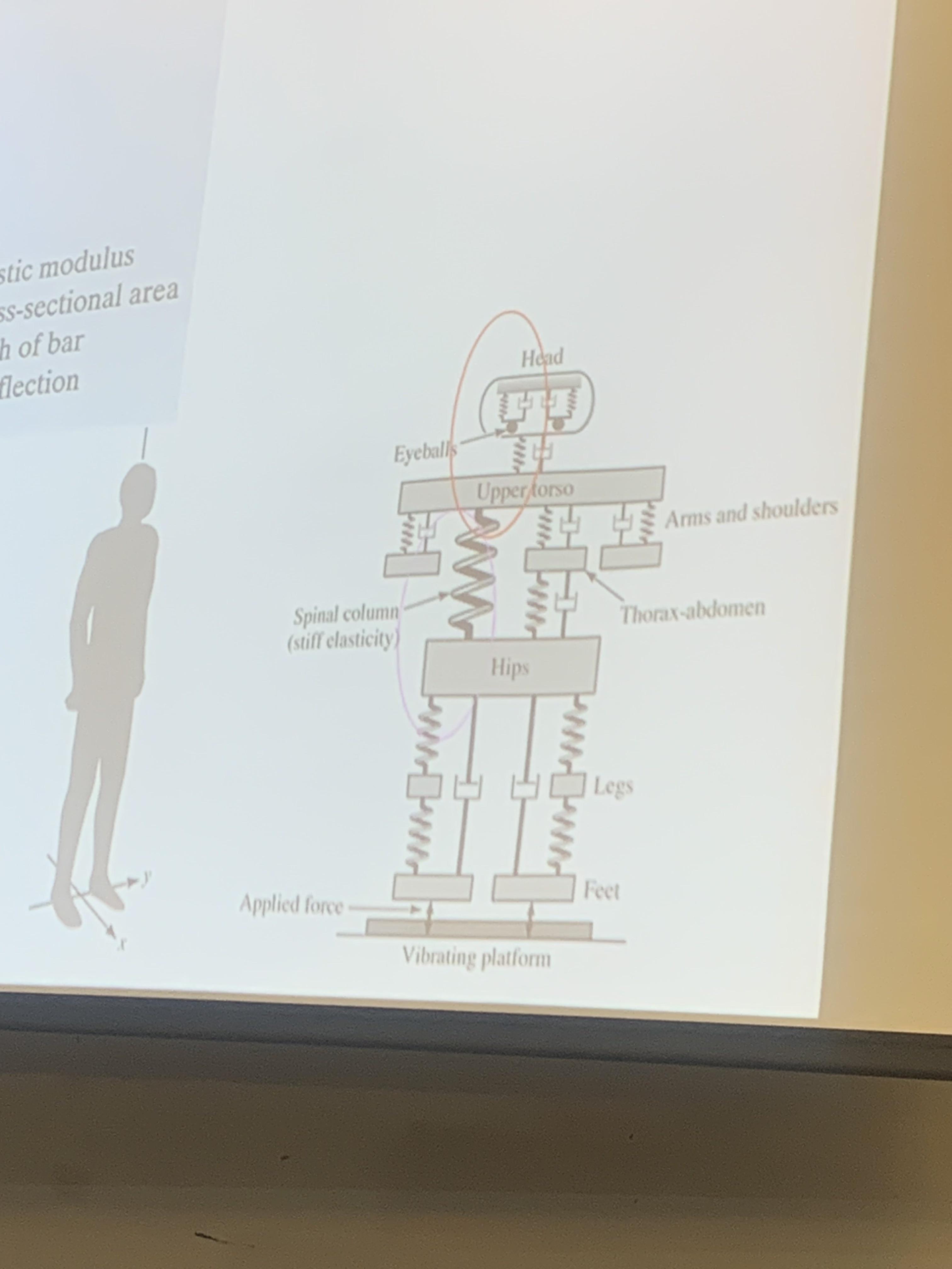What Was My Professor Smoking