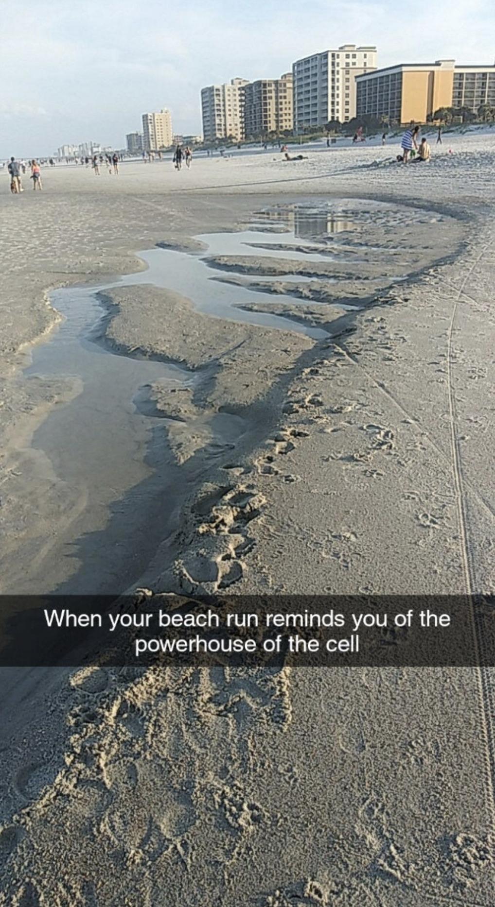 When The Beach Needs More Energy