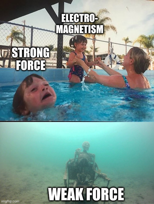 The Fundamental Force Popularity Contest