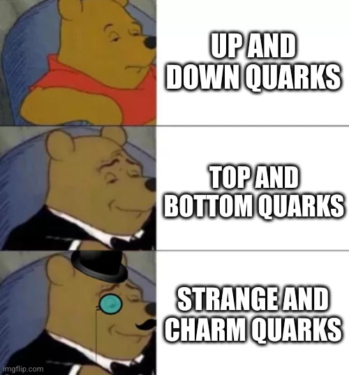 The Aristocracy Of Quarks