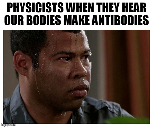 When Physics Meets Biology: The Antibody Paradox