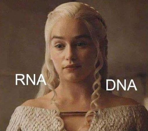 The Ultimate Genetic Hairstyle Guide