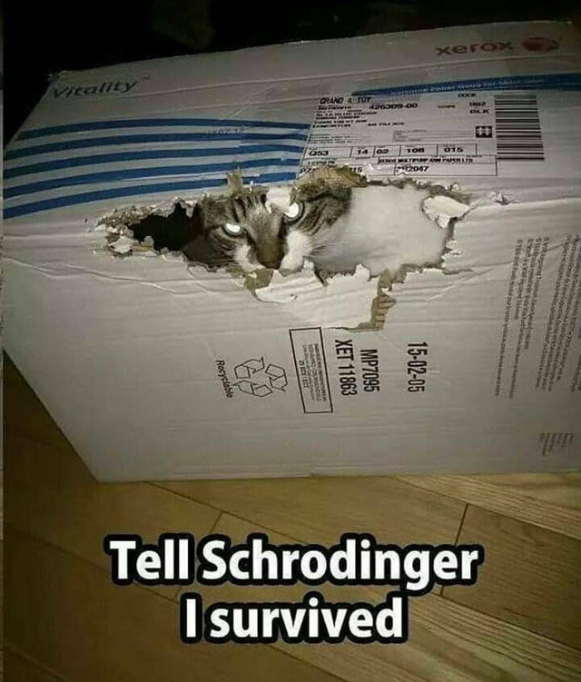 Schrödinger's Escape Artist