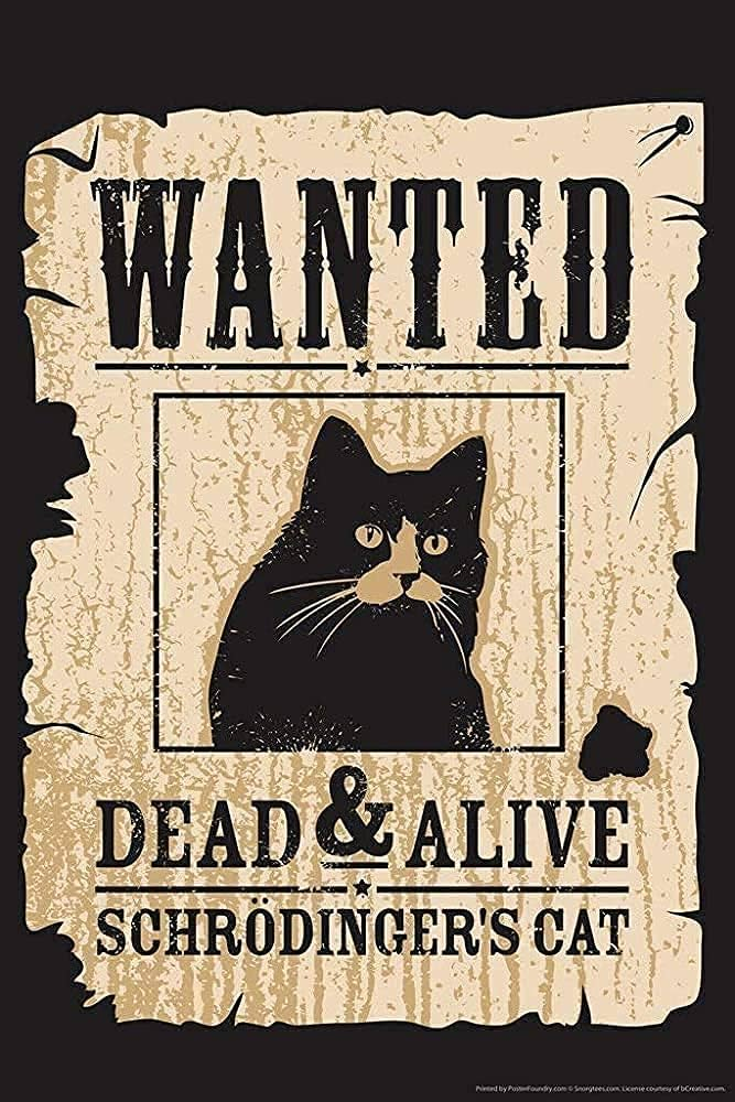 Wanted: Dead & Alive - Schrödinger's Cat