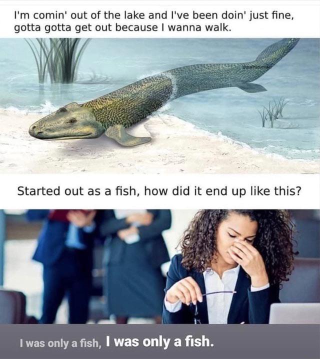 Went From Fish To Being Forced To Remember The Calvin Cycle
