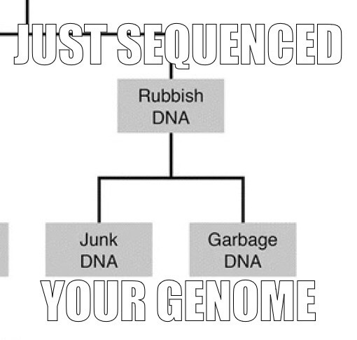 Goofy Ahh Transcriptomics