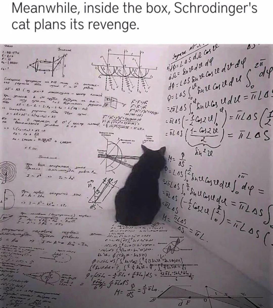 Quantum Revenge: Inside The Box