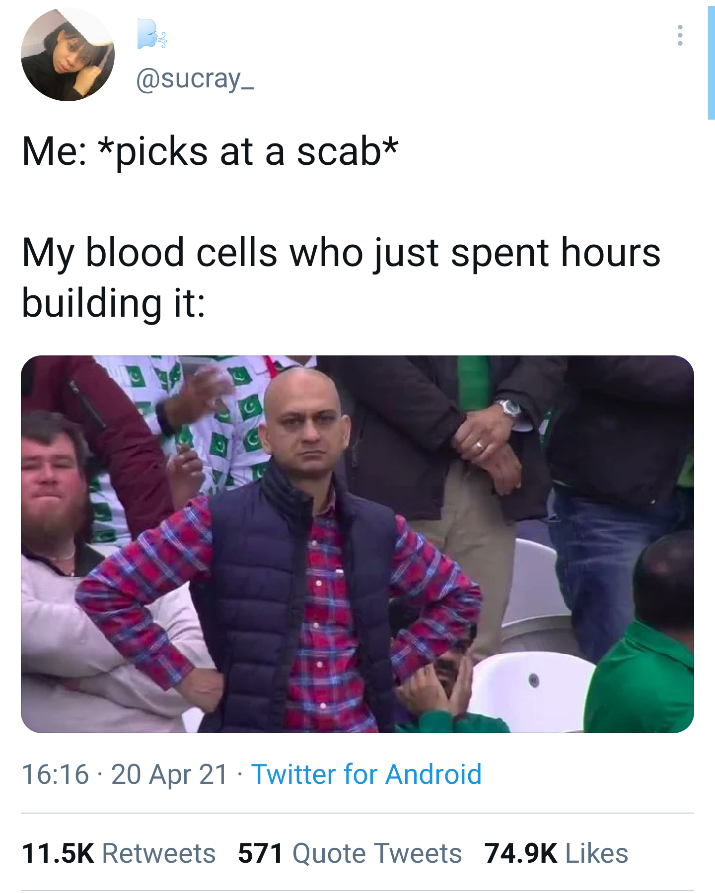 The Disappointed Blood Cell Construction Crew