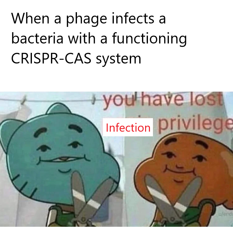 Chop Chop: The Bacterial Defense System