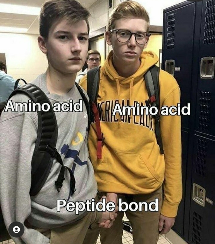 The Chemistry Of Relationships