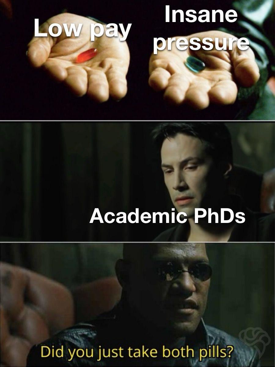 The Average PhD Experience