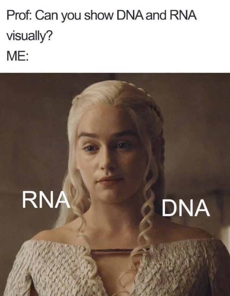 RNA Is Just Decaf DNA