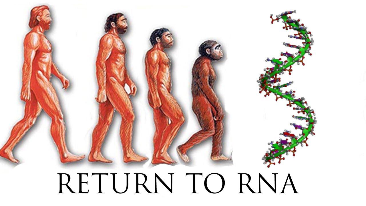 Return To RNA