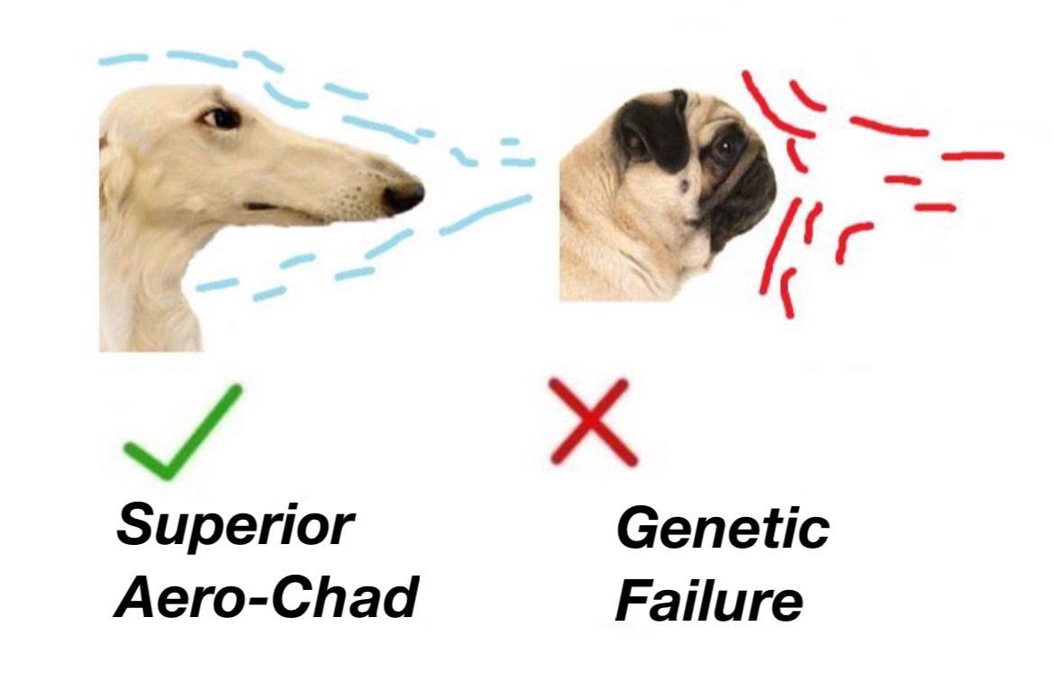 Aerodynamics Of Doggo