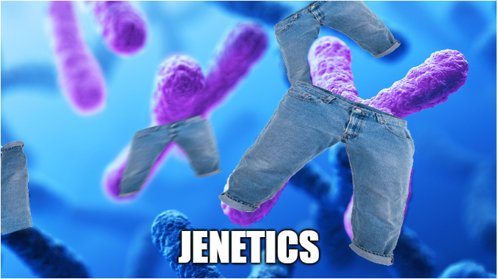 Chromosomes With Style: The Birth Of Jenetics