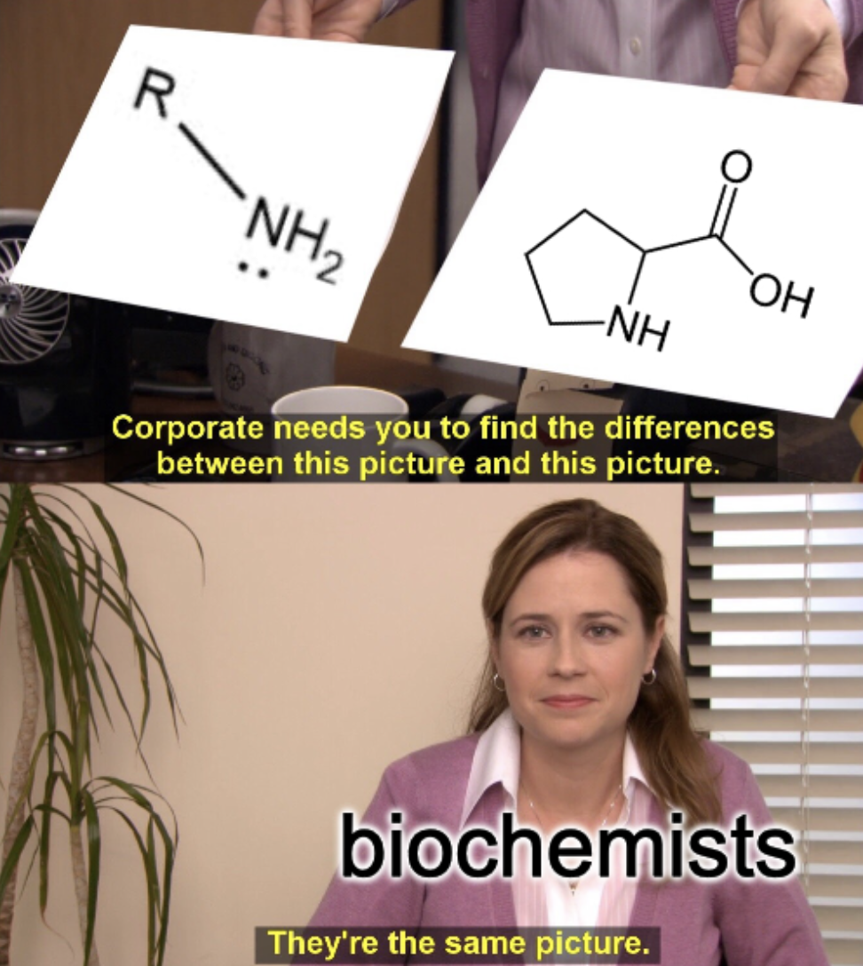 Proline: The Corporate Wants You To Find The Differences Amino Acid