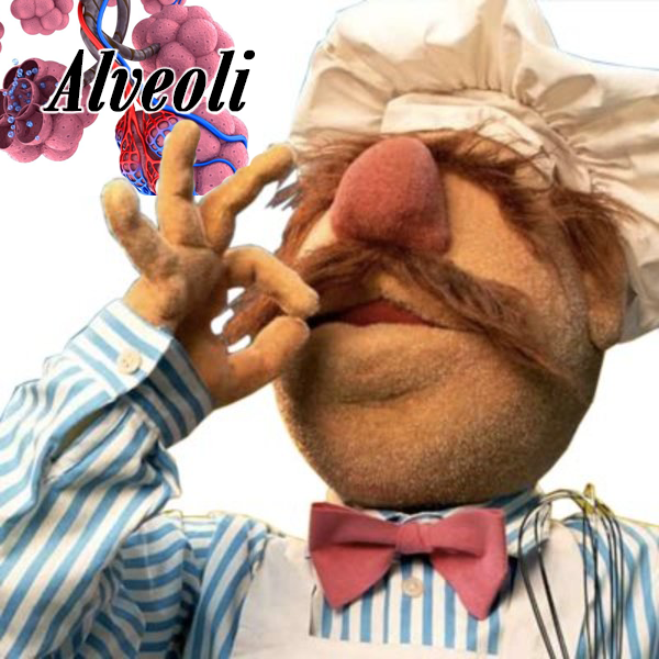 Say It In An Italian Accent