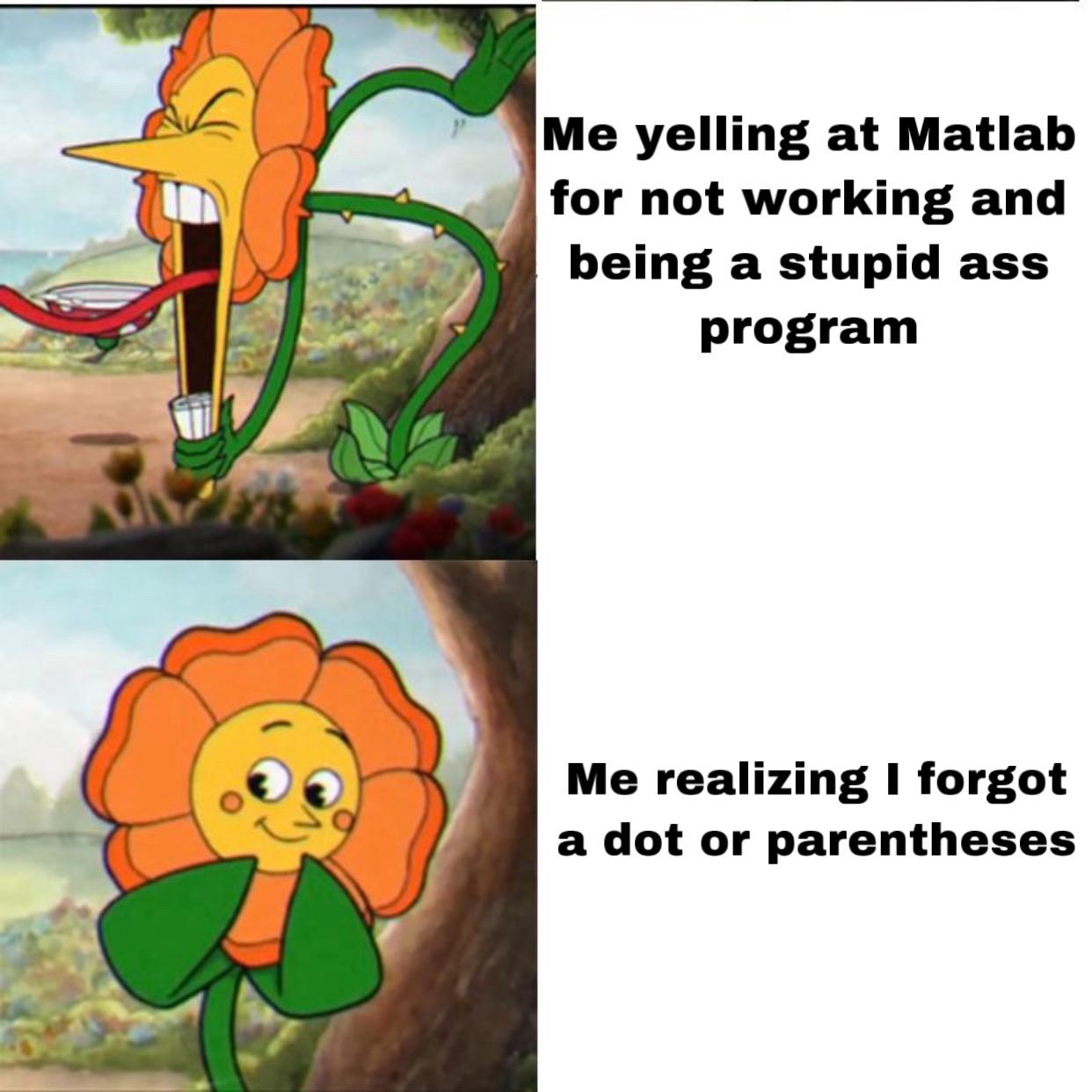 The Matlab Rage-Realization Cycle