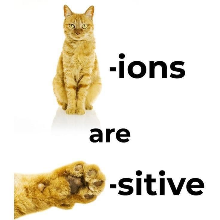 Cat-Ions Are Paw-Sitive