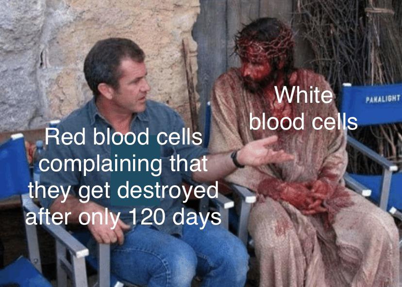 F To The 10^11 Cells That Died Today